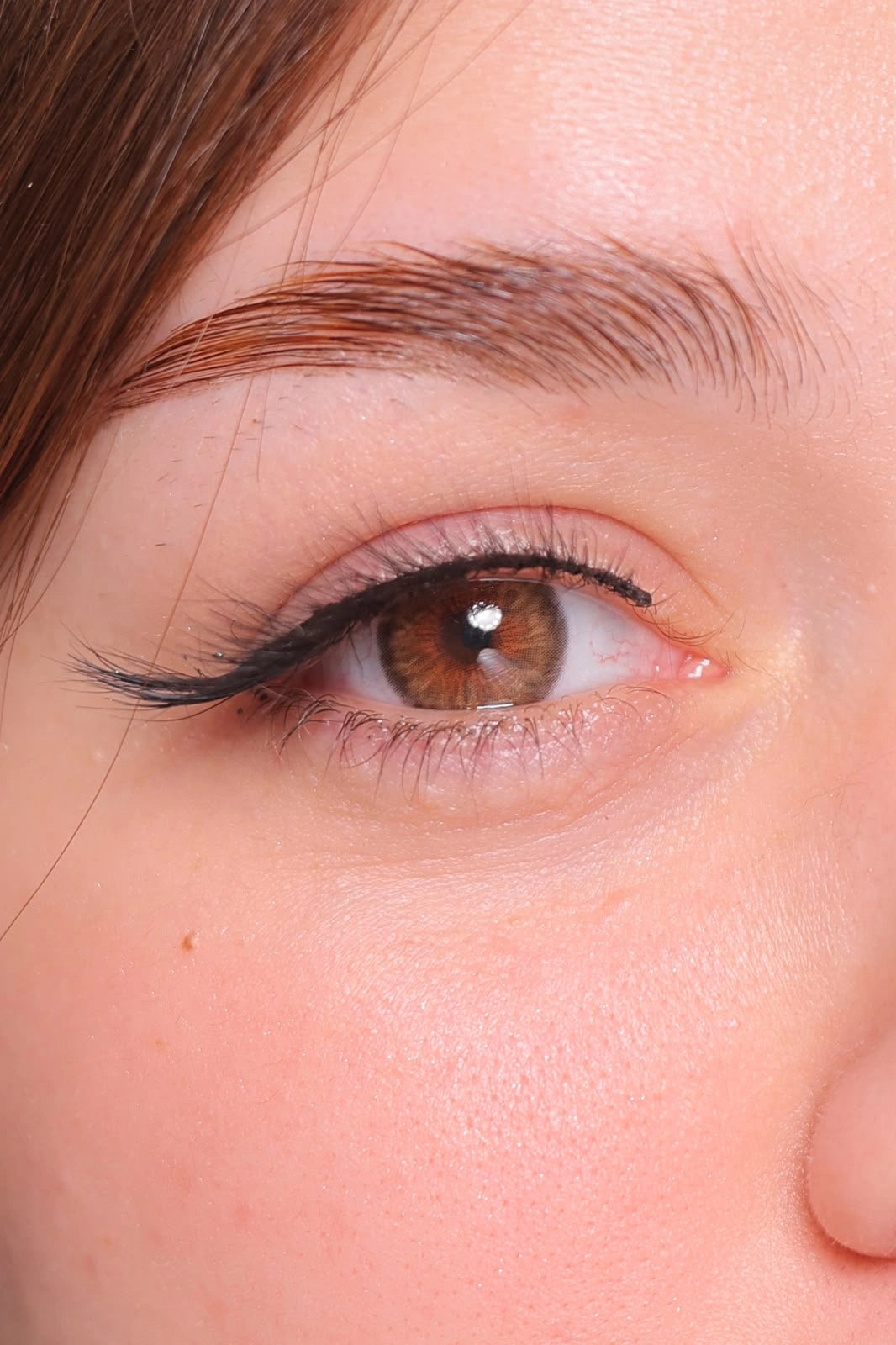 Eqqual Berre celeoptra Hazel
